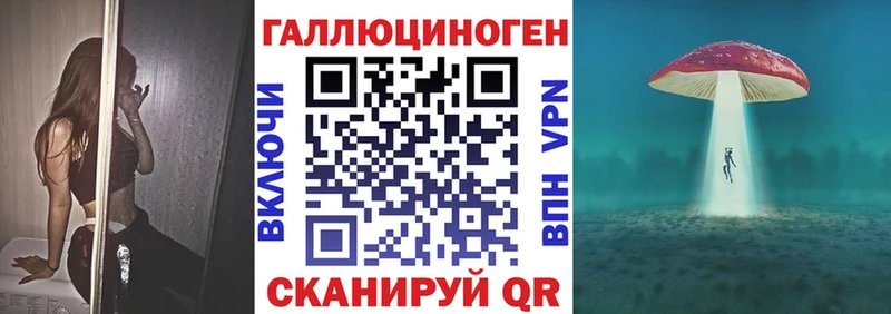 цена   Шлиссельбург  Псилоцибиновые грибы Psilocybe 
